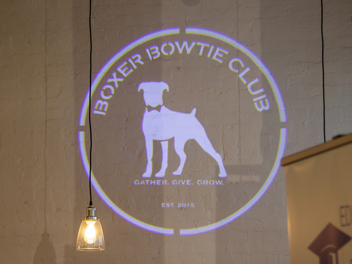 Dallas_Boxer Bowtie