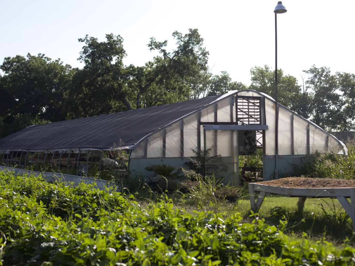 Austin Garden Shop Uprooted Local Farm Gets Condos Plus More