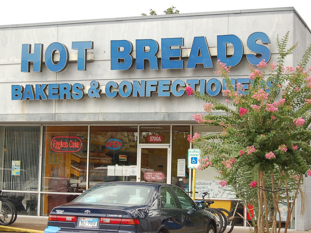 Short trip, big flavors A food journey through Houston's Mahatma G