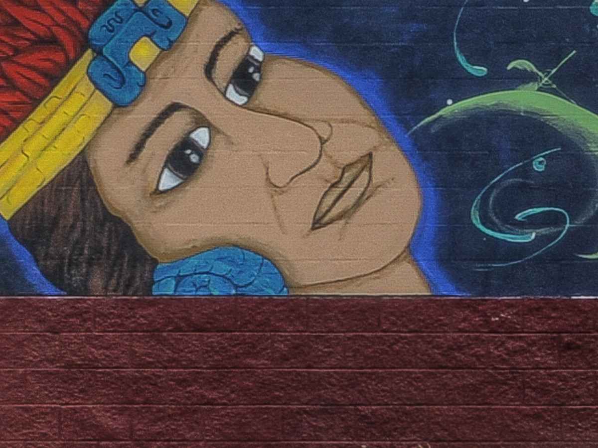 Por La Raza East Austin mural Holly neighborhood