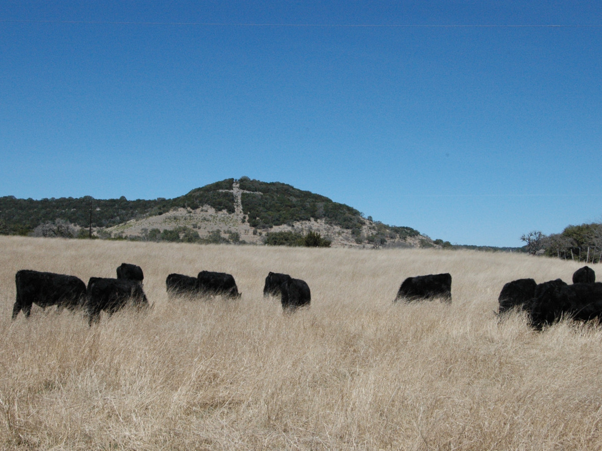 Northrup Pipe Creek Ranch