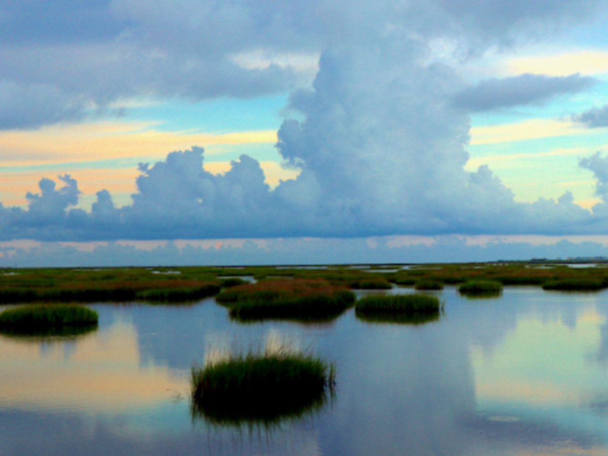 Galveston Bay stays afloat in new report ranking post-Harvey recovery 