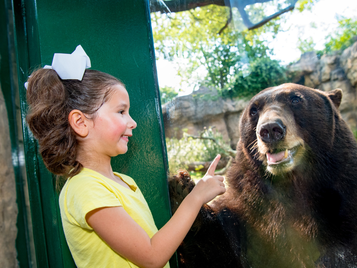 Little girl and black bear