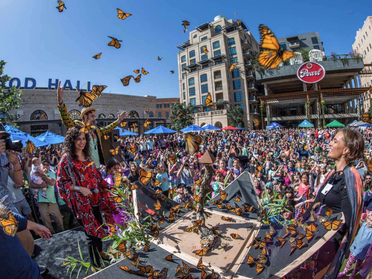 Unique festival flutters into San Antonio with familyfriendly fun