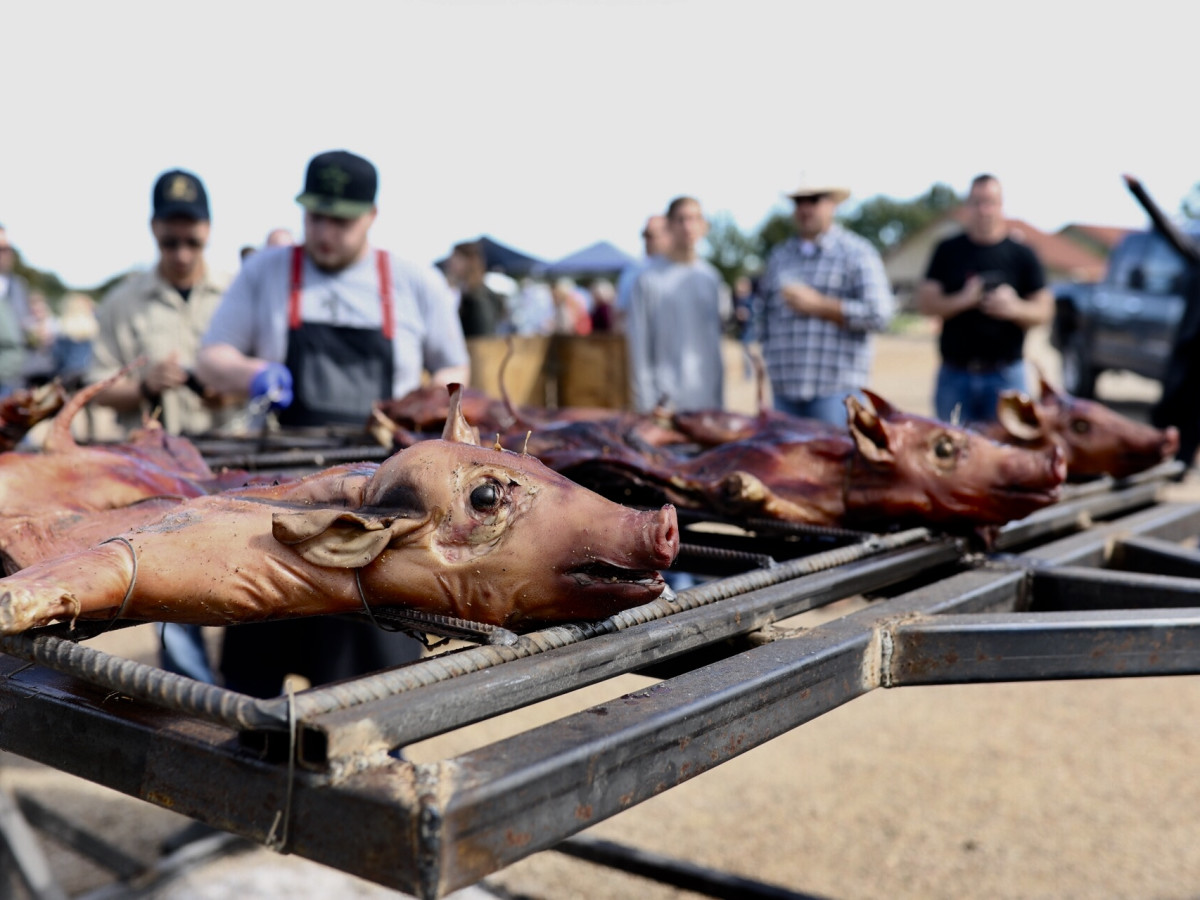 Butcher's Ball 2018 pigs on the grill