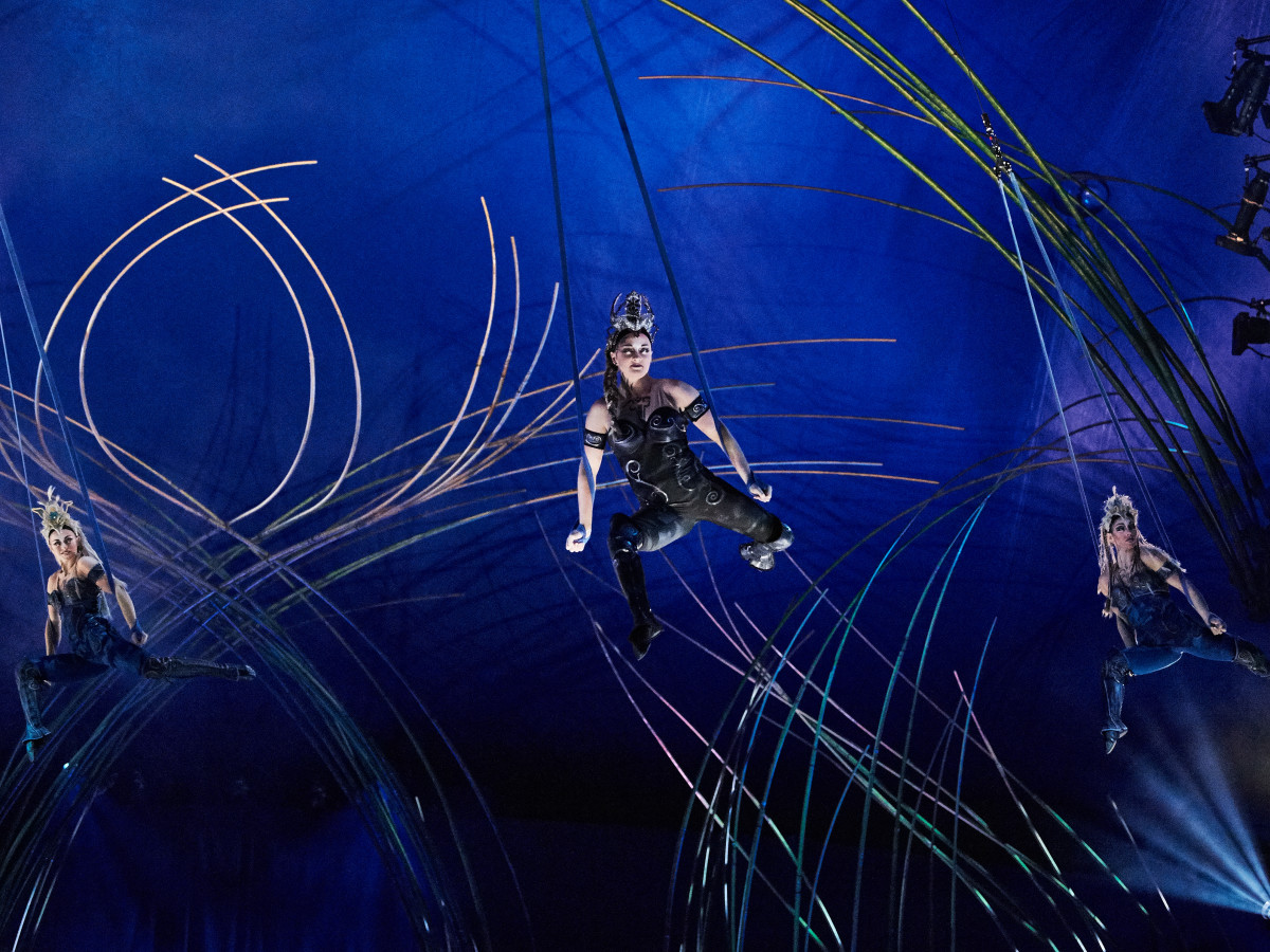 Cirque Du Soleil Amaluna
