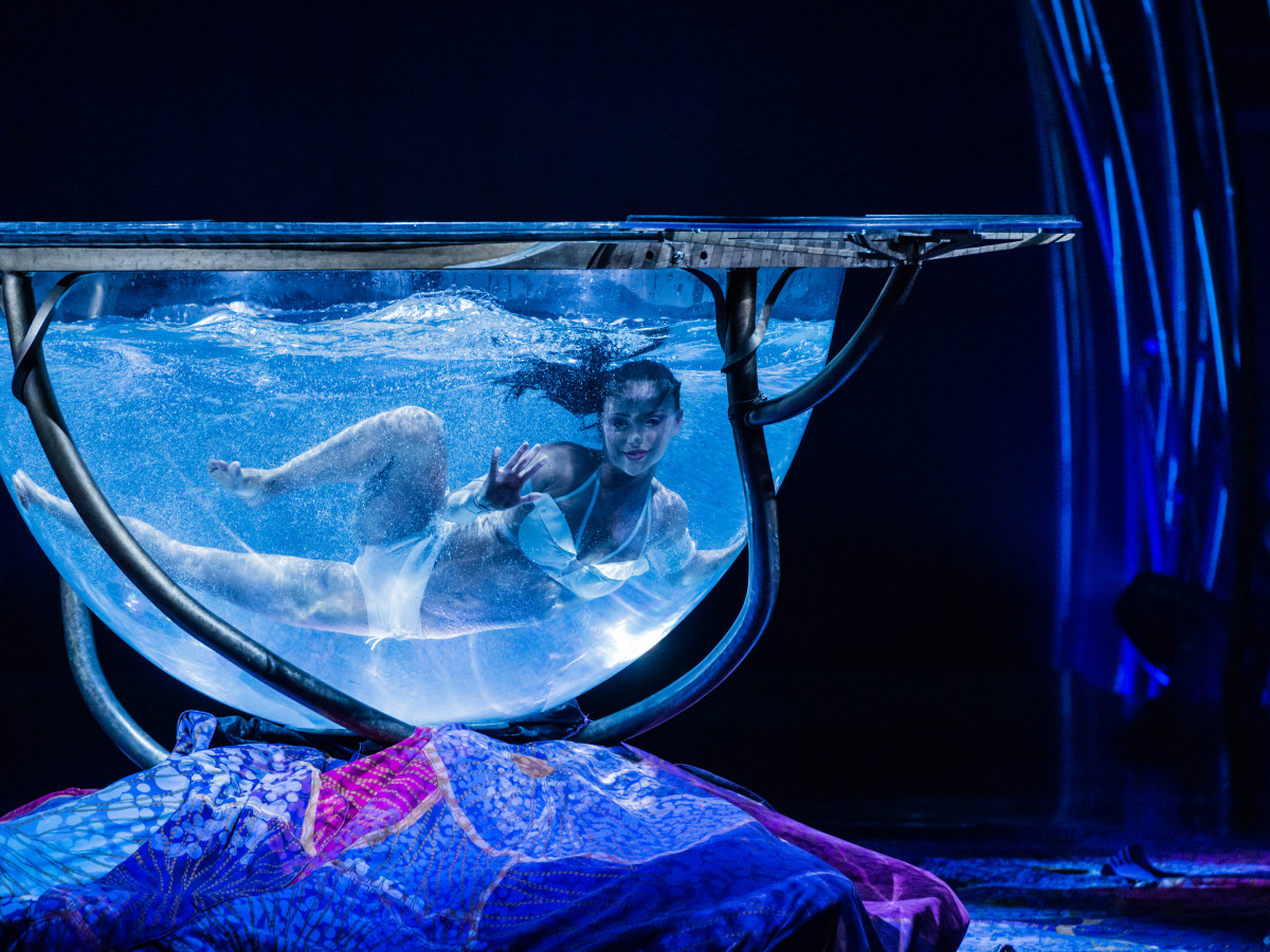 Cirque Du Soleil Amaluna