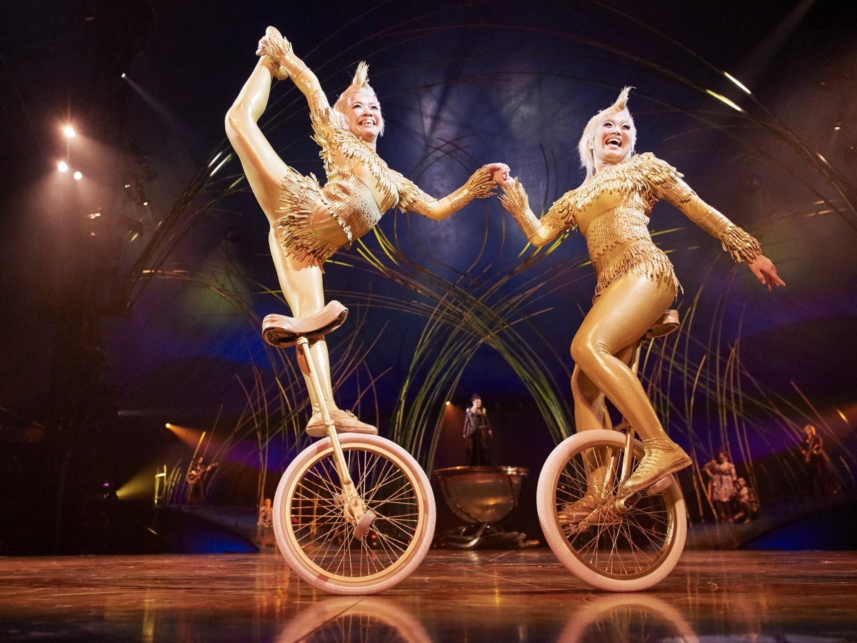 Cirque Du Soleil Amaluna