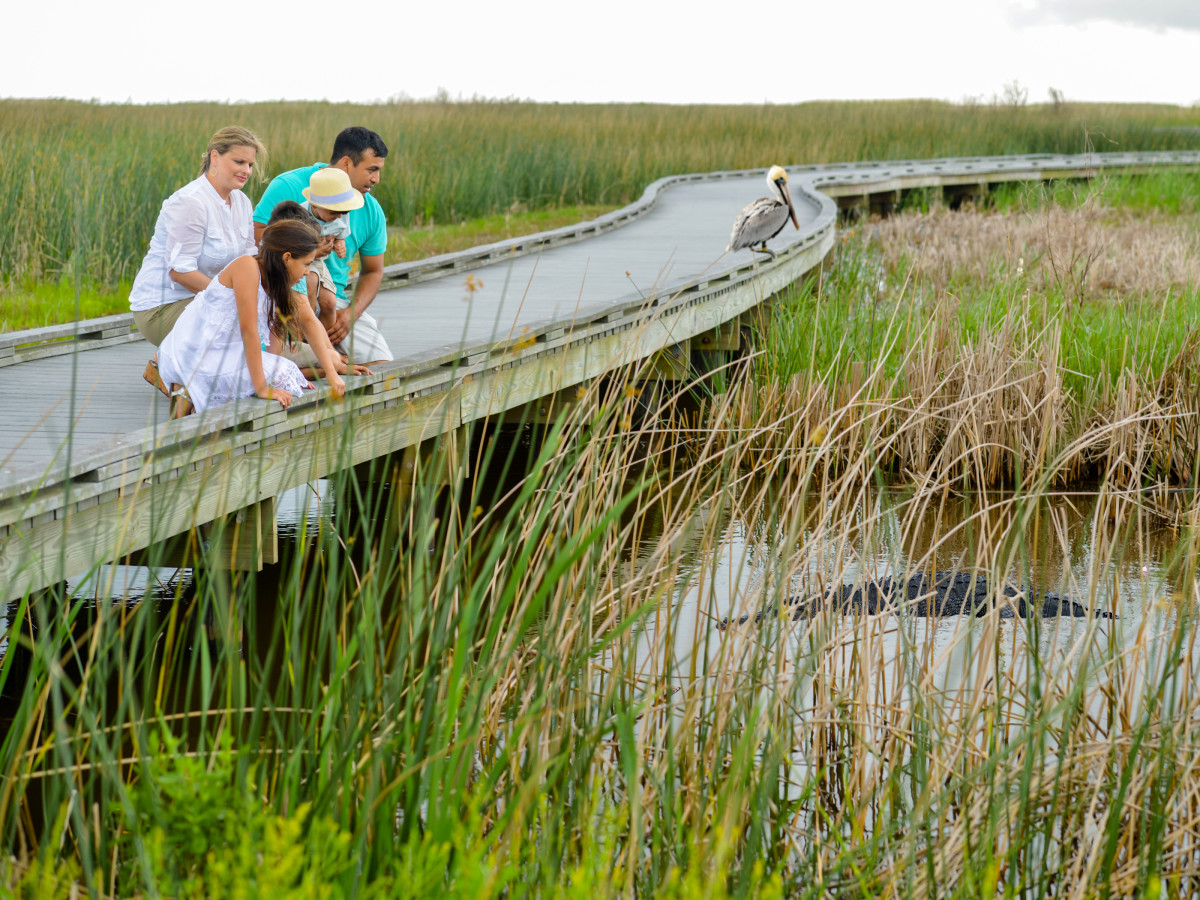 Creole Nature Trail in Lake Charles, Louisiana