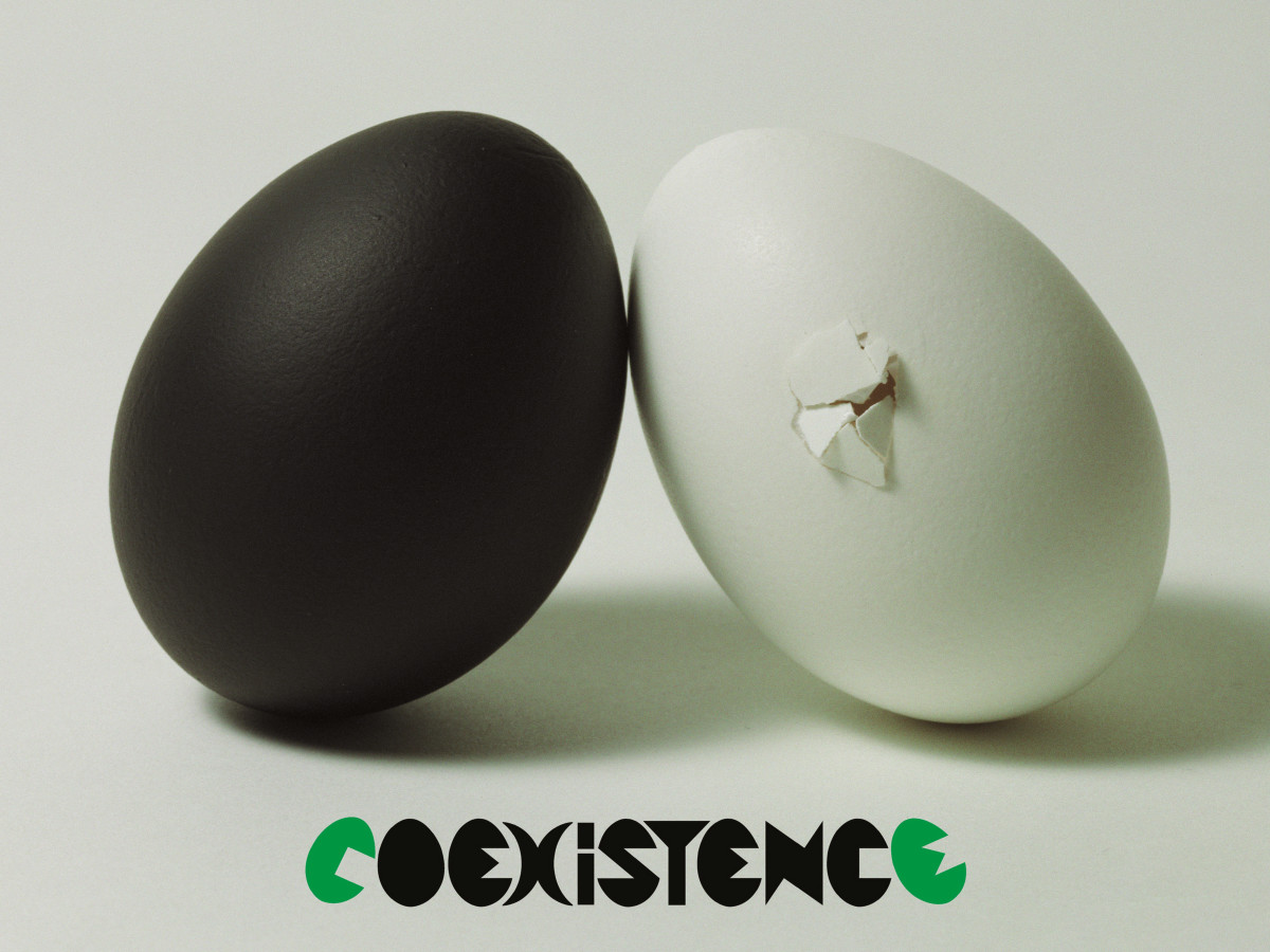Coexistence: Yasuyuki Uno