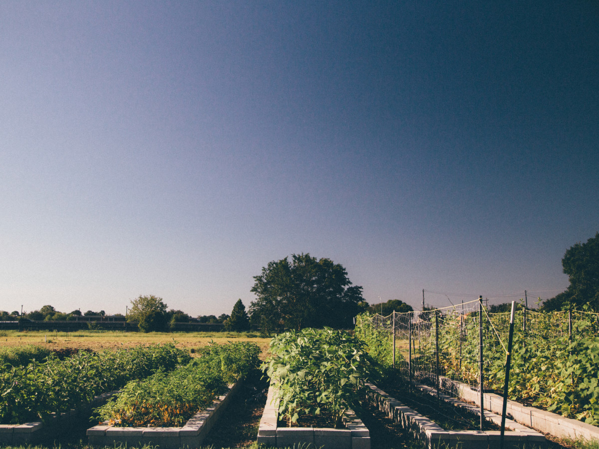 Hope Farms