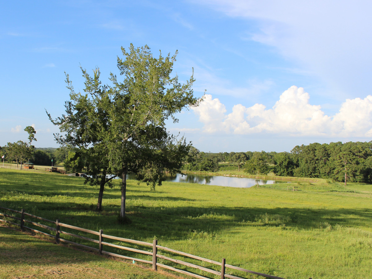 West Sandy Creek Winery pond fence