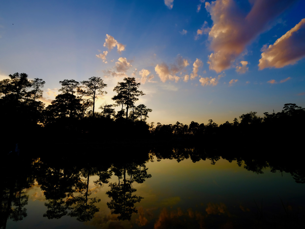 Memorial Park Eastern Glades Hines Lake dusk