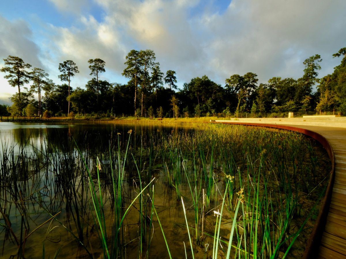 Memorial Park Eastern Glades wetlands