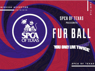 SPCA Fur Ball