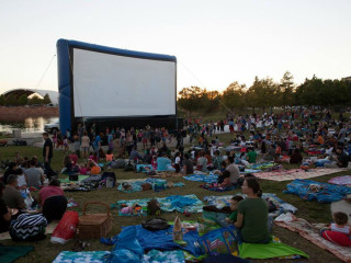 Mueller Austin presents Movies at Lake Park