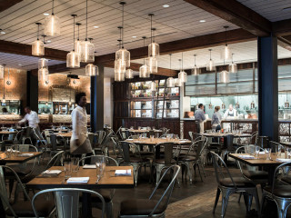 CBD Provisions