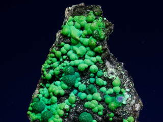 Houston Gem and Mineral Society presents Houston Fossil, Mineral, Jewelry, and Archaeological Trade Show V