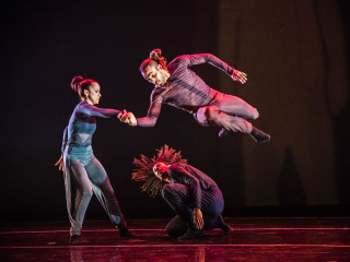 Malpaso Dance Company