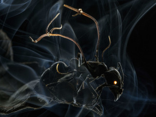 National Geographic Live presents <i>Beauty and the Bizarre</i>