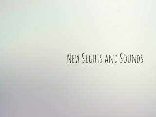 Space City Performing Arts presents New Sights and Sounds
