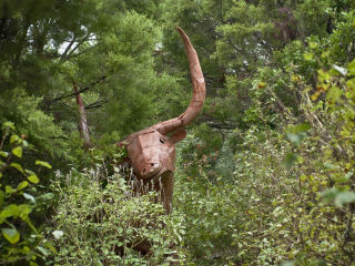 Inside Austin Gardens Tour