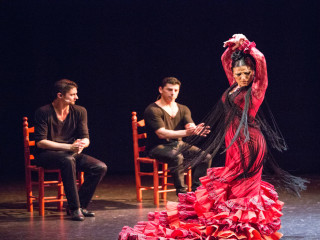 Compañia Flamenca José Porcel