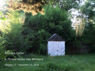Rebecca Carter A Thread House Has Whiskers