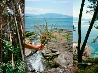 Big Medium presents Lauren Moya Ford: New Hands on Old World Flowers opening reception