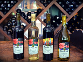 Messina Hof Winery