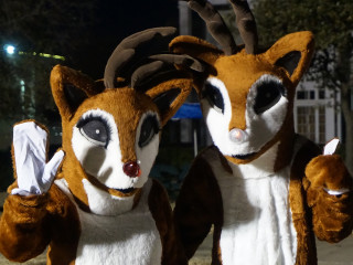 Holiday Delights at Fair Park