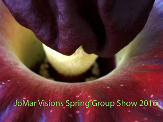 JoMar Visions Spring Group Show 2016