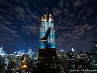Houston Green Film Series presents Dinner & Film Screening: Racing Extinction