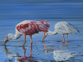 William Reaves | Sarah Foltz Fine Art presents The Texas Aesthetic X
