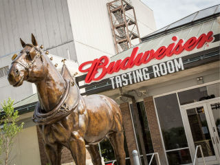The Tasting Room at the Anheuser-Busch Houston Brewery and Tour Center