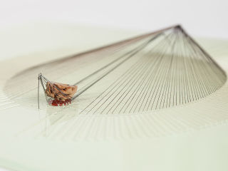 Houston Center for Contemporary Craft presents In Residence