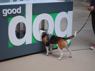 Fifth Annual Barkitecture Houston Tour and Charity Auction