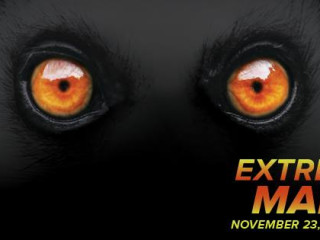 photo for Extreme Mammals at Bullock Museum