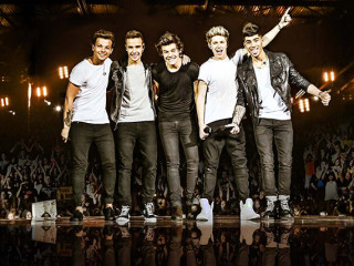 One Direction in concert "Where We Are" 2014 Tour