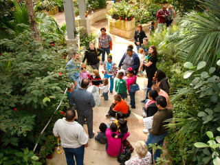 Texas Discovery Gardens Presents Butterfly House Discovery Tour