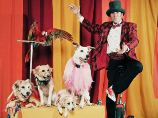 Circus Chickendog with Darren Peterson and his dogs