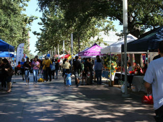 Volunteer Houston 2nd Annual Volunteer Fair and Festival