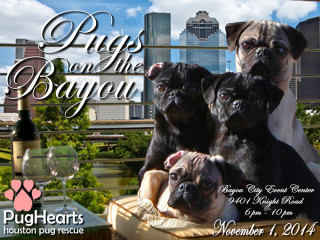 "Pugs on the Bayou" benefiting PugHearts Houston Pug Rescue