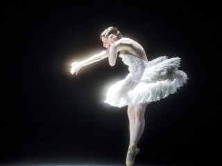 Film screening: Touring Taste of Dance Salad Festival