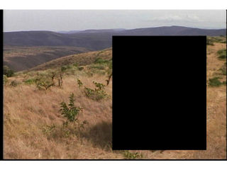 Zhulong Gallery presents Lauren Woods