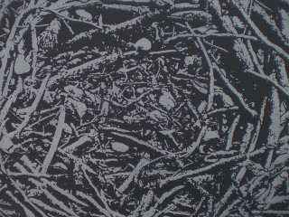 Cardoza Fine Art opening reception: In Passing