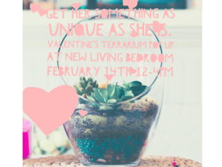 Valentine's Day Pop Up Terrarium Bar at New Living Bedroom