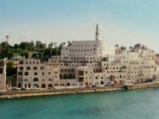 2015 Houston Palestine Film Festival: Voice of a Condor