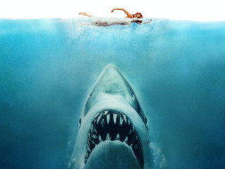 News_fav sharks_Jaws