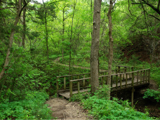 Cedar Ridge Preserve Culturemap Dallas